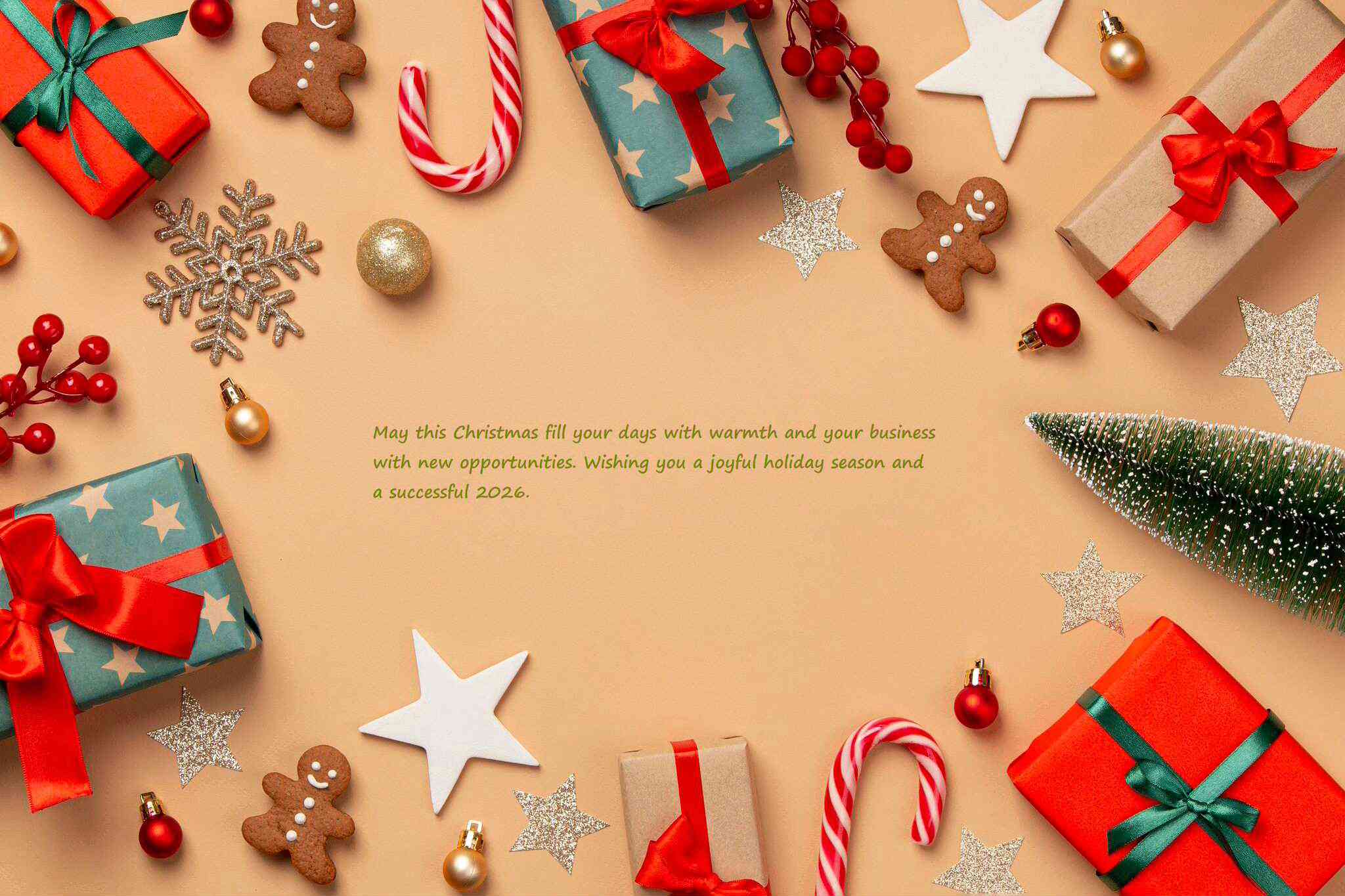Merry Christmas & Warm Wishes